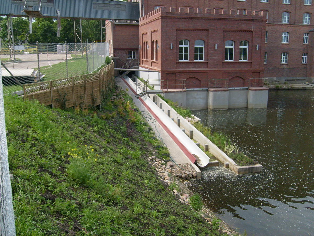 Przepławka dla ryb Przechowo